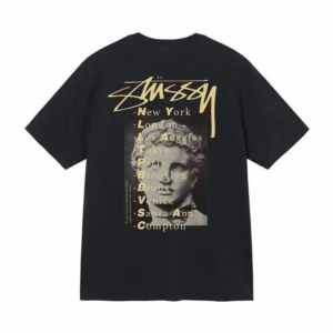 Stussy T-shirt TEE
36 colorways