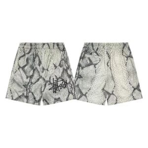 Stussy short Shorts