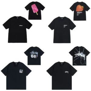 Stussy SS24 T-Shirts
( 40+ colors )